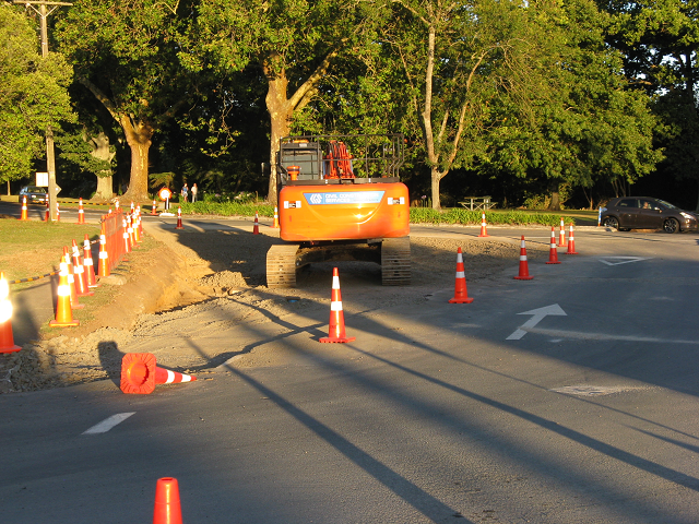 19. The other side of the straightening. Cambridge Tree Trust